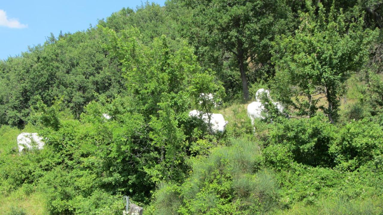 Отель Casale Le Fontanelle Monte Grimano Terme Экстерьер фото