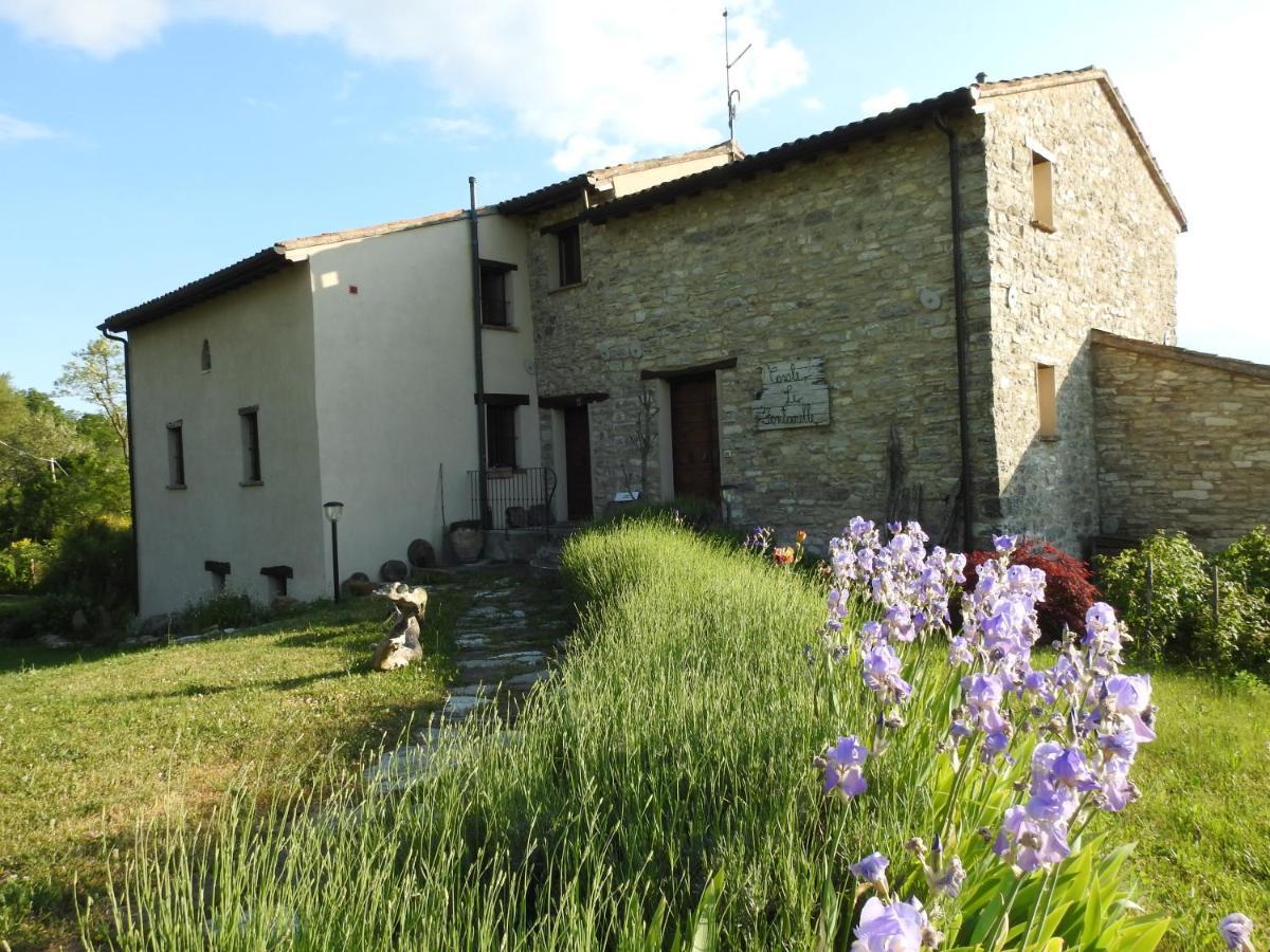 Отель Casale Le Fontanelle Monte Grimano Terme Экстерьер фото